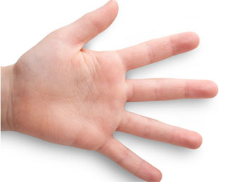 Длина пальцев